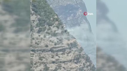 Sarp arazide çıkan orman yangınını kontrol altına alma çalışmaları sürüyor