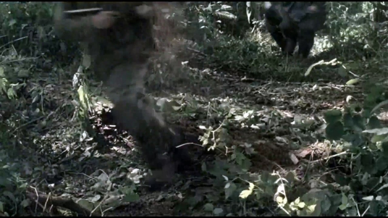 В июне 1941 - 3 серия (2008)