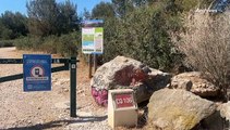 A la Une du JT, le retour des méduses à Fos sur mer