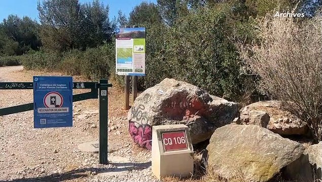 A la Une du JT, le retour des méduses à Fos sur mer