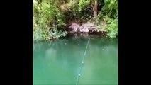 Une partie de pêche incroyable... belle prise