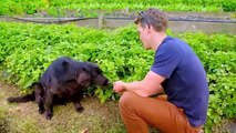 James Martin's Great British Adventure - Se1 - Ep05 HD Watch HD Deutsch