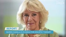 Queen Camilla in India for Holistic Therapy Vacation While King Charles Remains in U.K.: Report