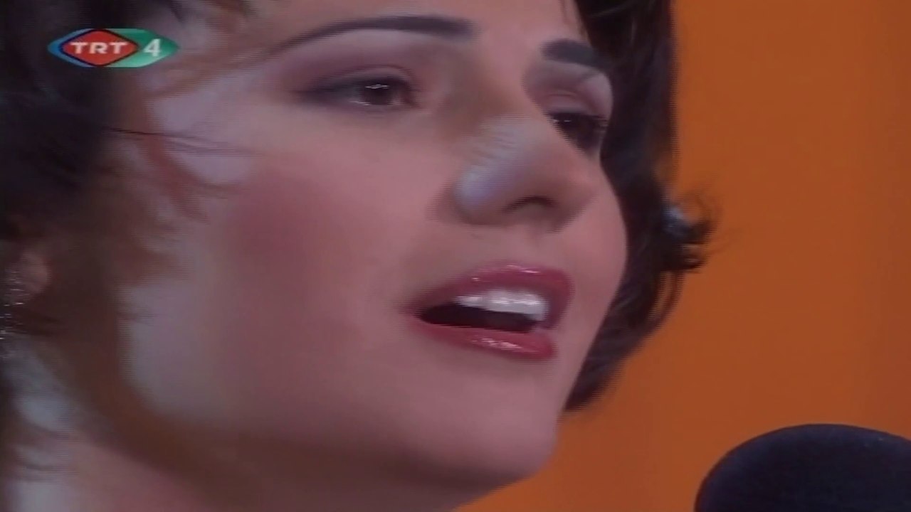 Neşe Dursun / Şu göğsüm yırtılıp baksan