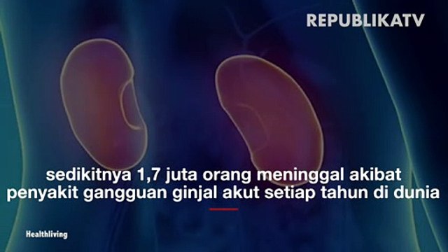 Setiap Tahun 1,7 Juta Orang di Dunia Meninggal Akibat Gagal Ginjal Akut