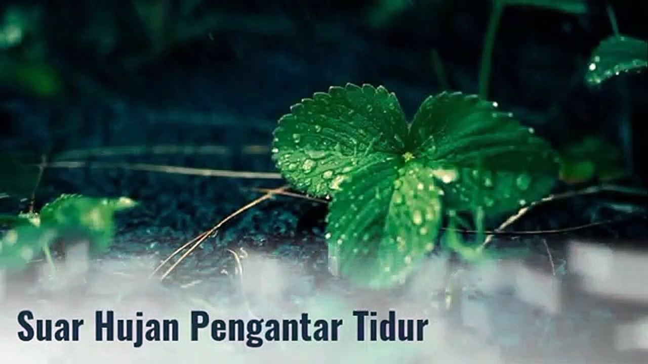Voice of the rain