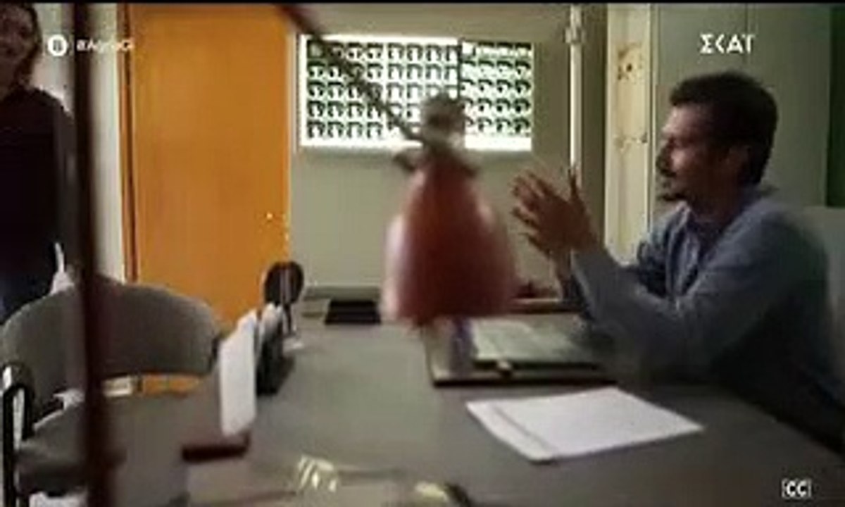 ΑΓΡΙΑ ΓΗ ΕΠΕΙΣΟΔΙΟ 28