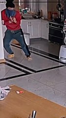 kucing lucu jedag jedug