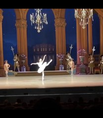 20221023-SleepingBeauty 3act BlueBird