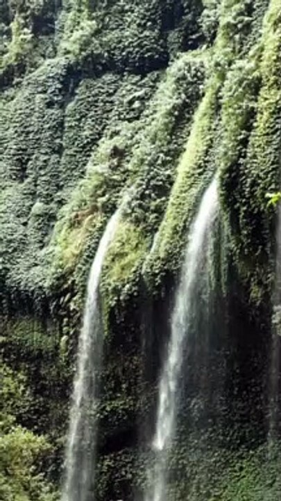 Pemandangan alam yang indah.