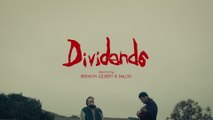 DWLLRS - Dividends