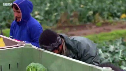 Landward - Se5 - Ep01 HD Watch HD Deutsch