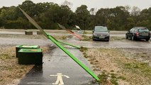 Tornado sweeps through Hampshire zoo car park amid heavy winds