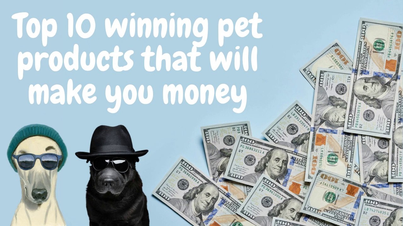 dog and cats winning products 2022