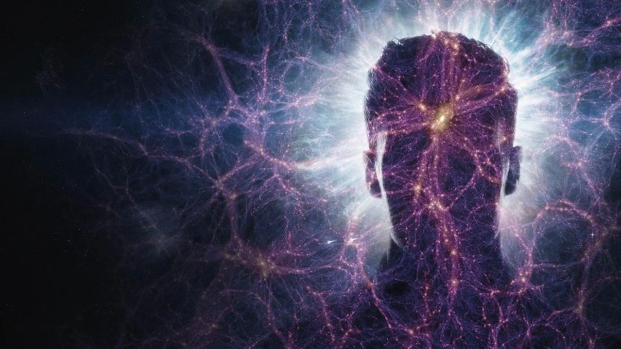 What If You Were Made of Dark Matter?