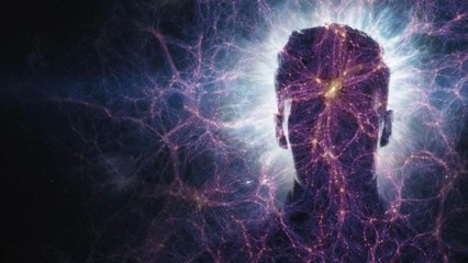 What If You Were Made of Dark Matter?