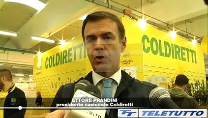 Video News - ECONOMIA AGRICOLA IN CRISI