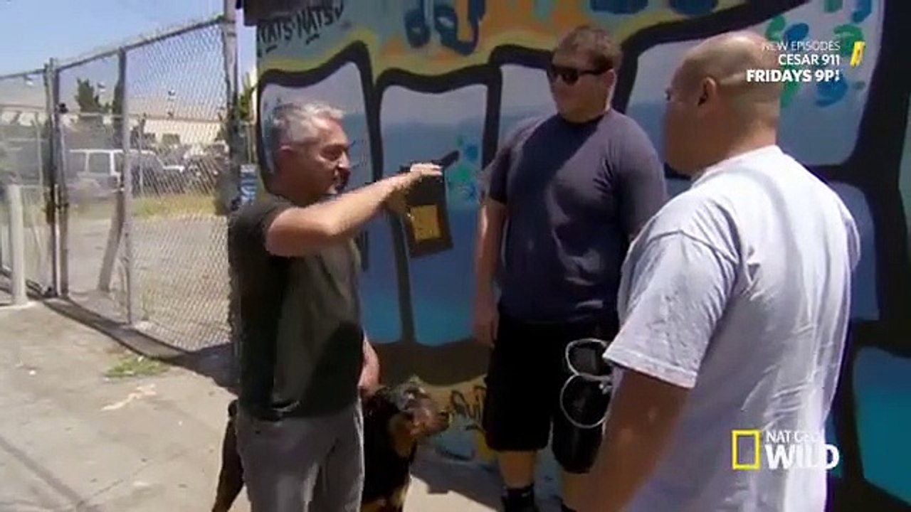 Cesar 911 - Se1 - Ep04 - Attack Dogs HD Watch HD Deutsch