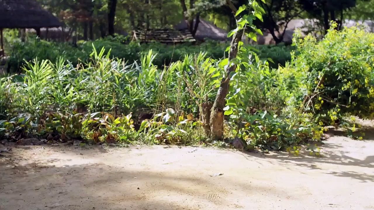 Dramaworld - Se1 - Ep02 HD Watch HD Deutsch