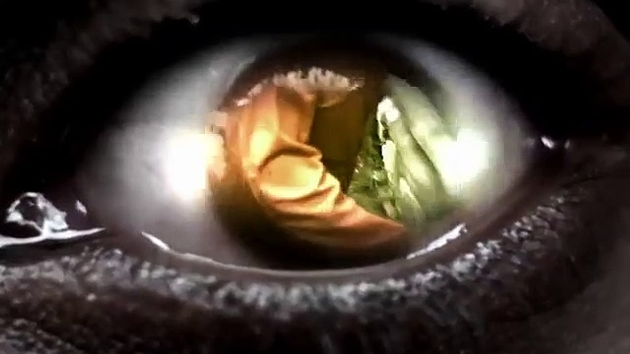 Misfits - Se1 - Ep04 HD Watch HD Deutsch