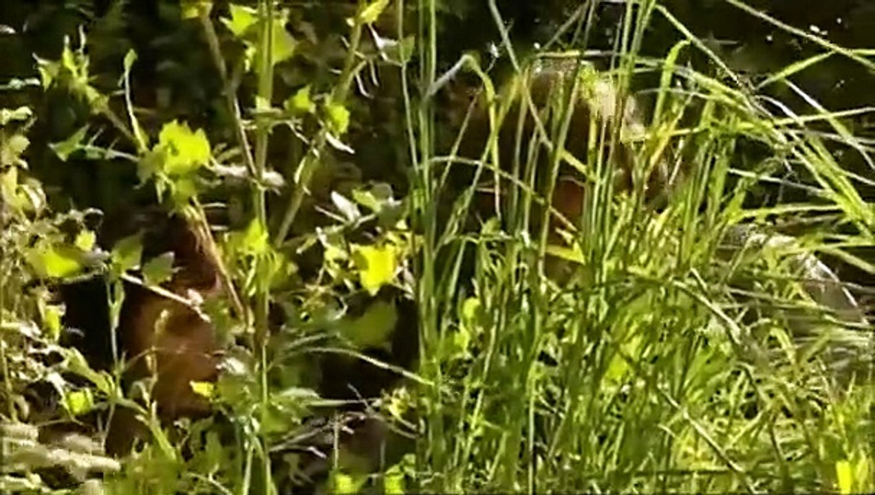 The Tribe - Se1 - Ep01 HD Watch HD Deutsch
