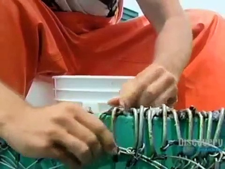 Dirty Jobs - Se1 - Ep01 HD Watch HD Deutsch