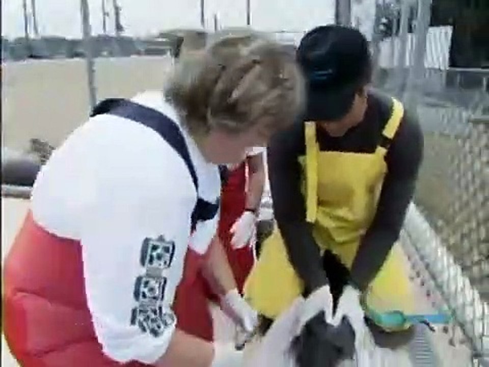 Dirty Jobs - Se2 - Ep02 HD Watch HD Deutsch