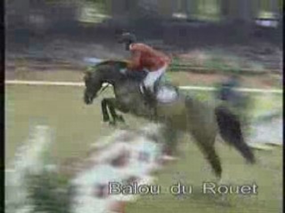 Fils de Baloubet :  Balou du Rouet
