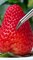 How To Make A Fresh Strawberry Cake_ _ Chef Cat Cooking  #tiktok #Shorts