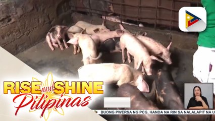 Posibleng pag-amyenda sa EPIRA Law, tinalakay ni Pres. Ferdinand R. Marcos sa mga opisyal ng Bacolod