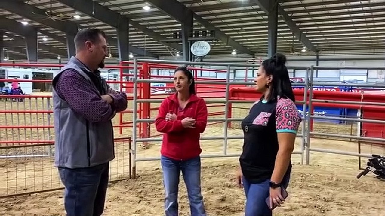 Pig Royalty - Se1 - Ep05 - Trouble With the Tyks HD Watch HD Deutsch