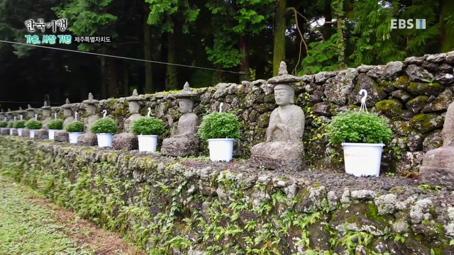 한국기행 - Korea travel_가을 사찰 기행 1부- 관음사로 혼저옵서예_#001