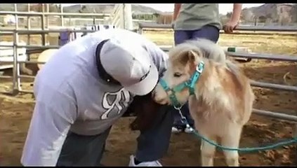 Rob and Big - Se2 - Ep01 HD Watch HD Deutsch