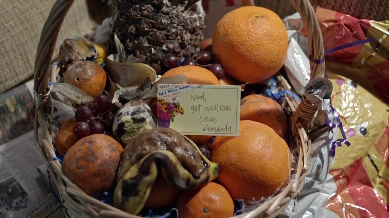 Vice Principals - Se2 - Ep01 - Tiger Town HD Watch HD Deutsch