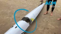 Teenager narrowly escapes massive shark 'chomp' attack