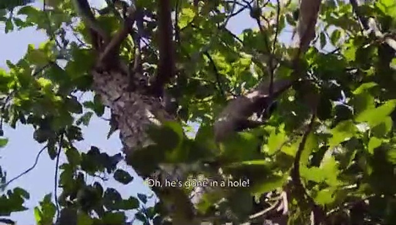 Snake City - Se6 - Ep03 - Snakes and Sewage HD Watch HD Deutsch