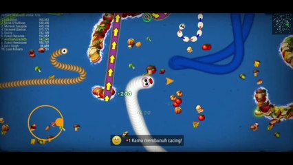 Top Global Cacing Besar Alaska #1