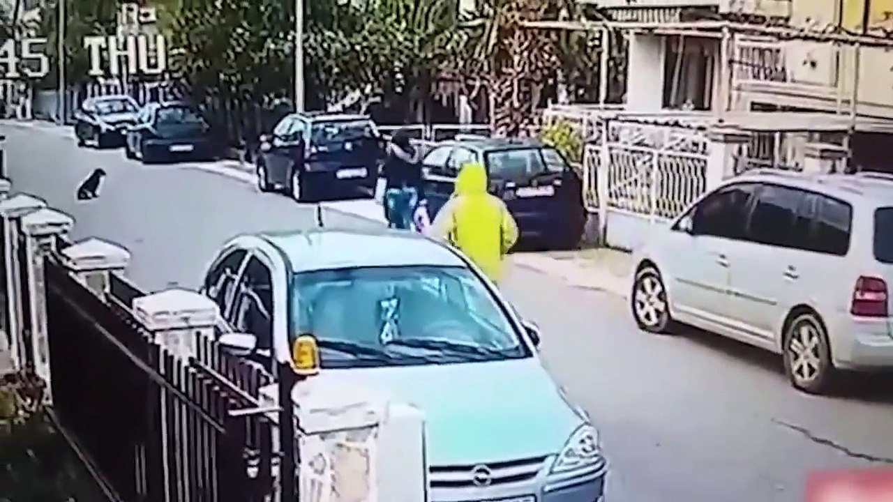 35 Hero Animals that Saved Human Lives !