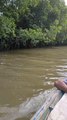 MENELUSURI SUNGAI BLACHAN BEKASI BERBURU IKAN KAKAP Part 2