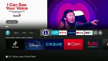 MegaOTT App
