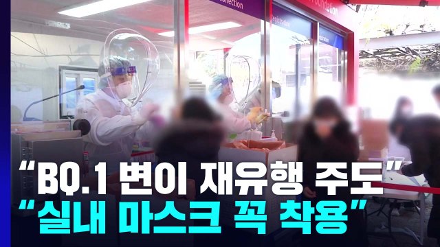 코로나19 확진자 규모 증가... 다음 달 BQ.1 변이가 재유행 주도 / YTN