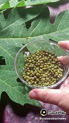 Obat maag dan asam lambung