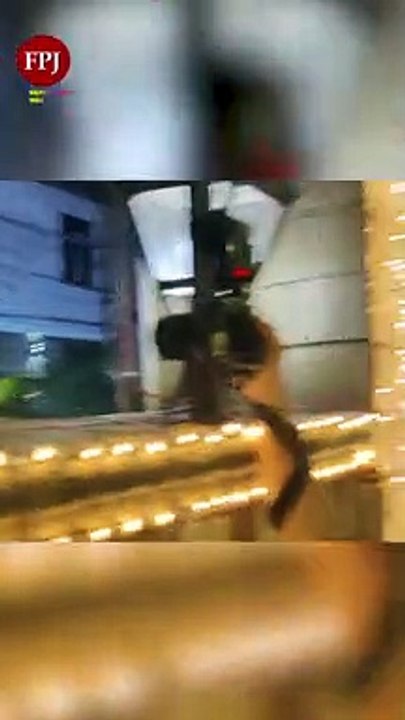 Watch: Amitabh Bachchan's security guards, paparazzi get into a tussle amid Diwali celebrations