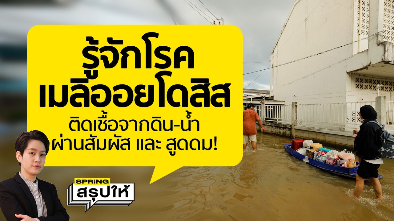 รู้จักโรคเมลิออยโดสิส ติดจากเชื้อในน้ำ - ดิน ทั่วไทยผ่านการสัมผัส หรือ สูดดม l SPRiNGสรุปให้