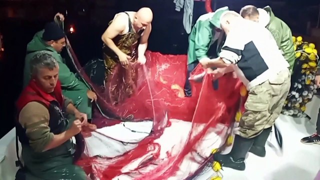 Kıyı balıkçıları kasalar dolusu palamut avladı