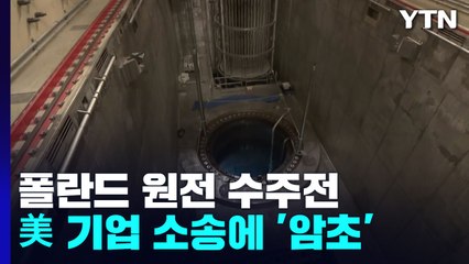 폴란드 원전 수주전 미국발 암초..."값싼 韓 원전 견제" / YTN