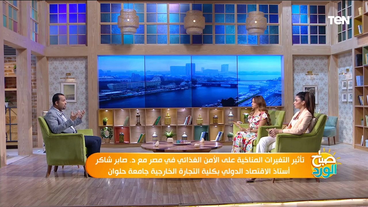 أستاذ اقتصاد دولي يكشف أهم المشكلات التي تواجه الصناعة
