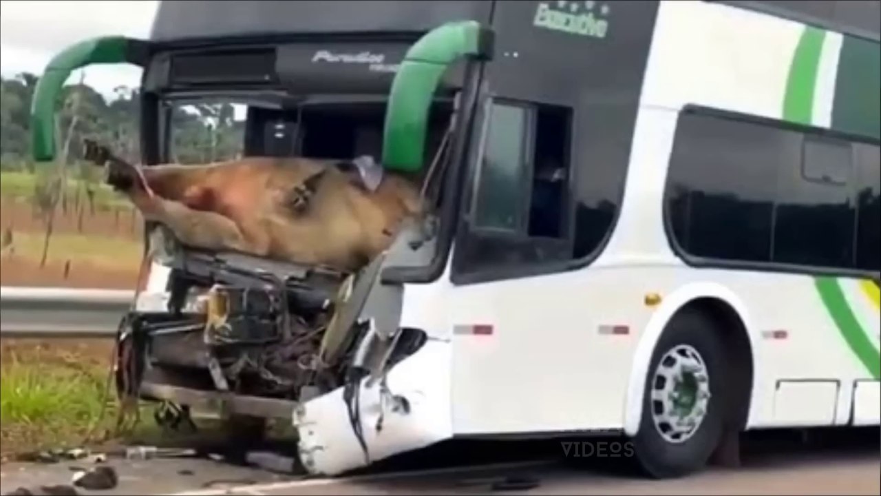 TOTAL IDIOTS AT WORK | BAD DAY AT WORK 2022 | WORK COMPILATION | IDIOTS AT WORK Total Idiots in Cars