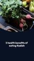 5 health benefits of eating Radish.