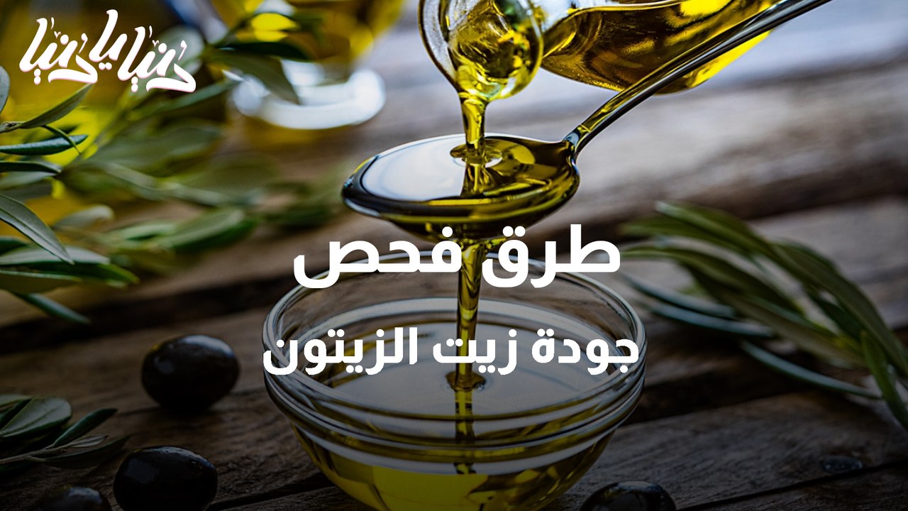 إنتاج زيت الزيتون وطرق فحصه والحكم على جودته